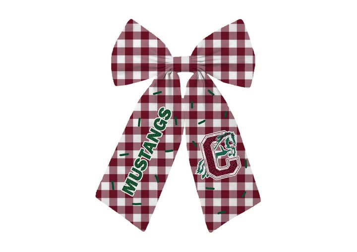 Central Middle Mustangs NEW Bow
