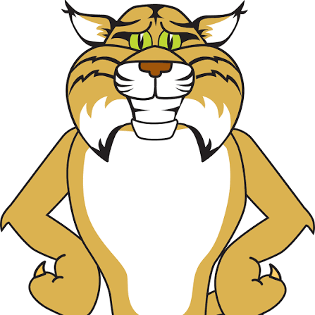Levi Milton Wildcats
