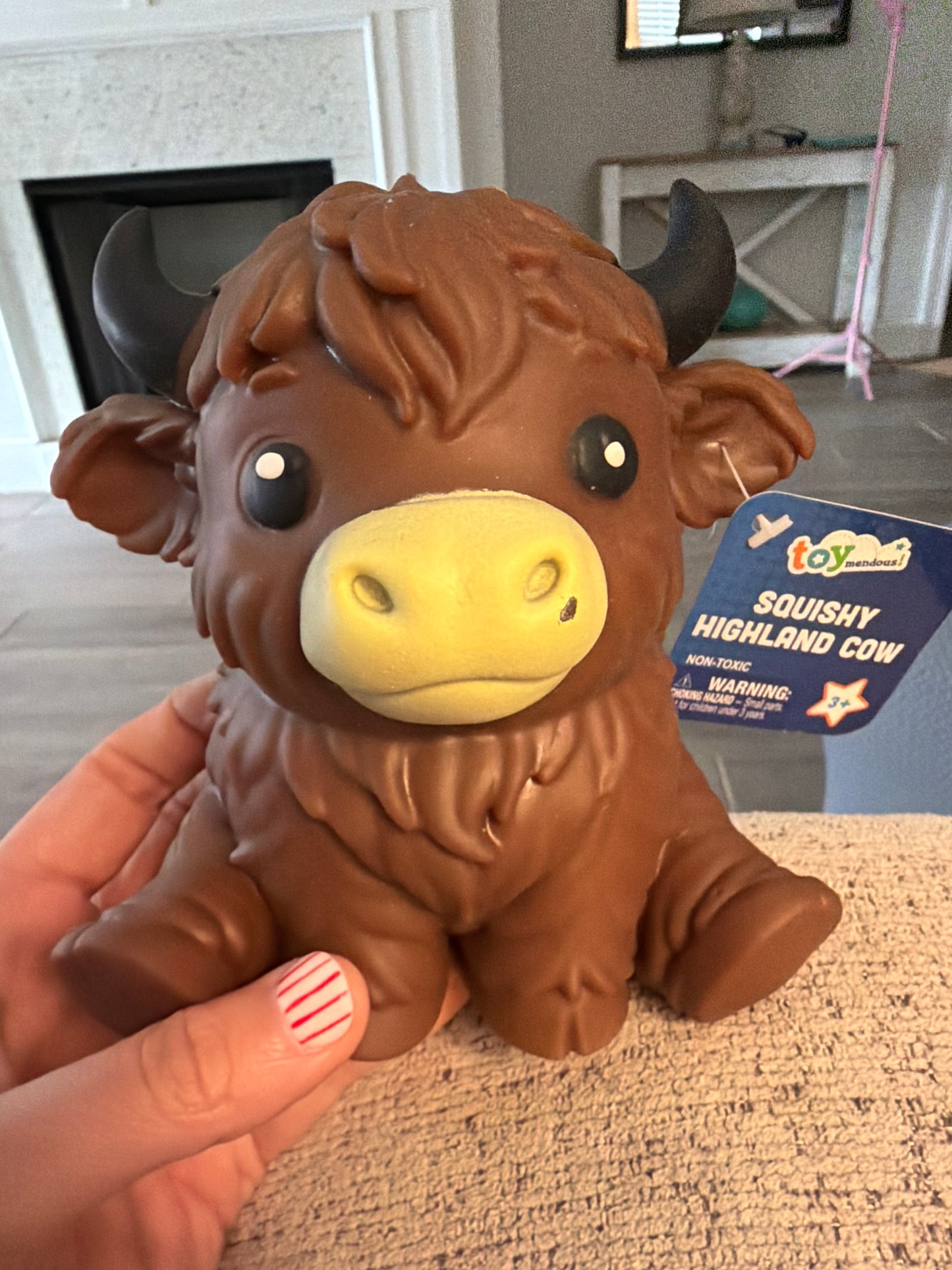 Highland Cow