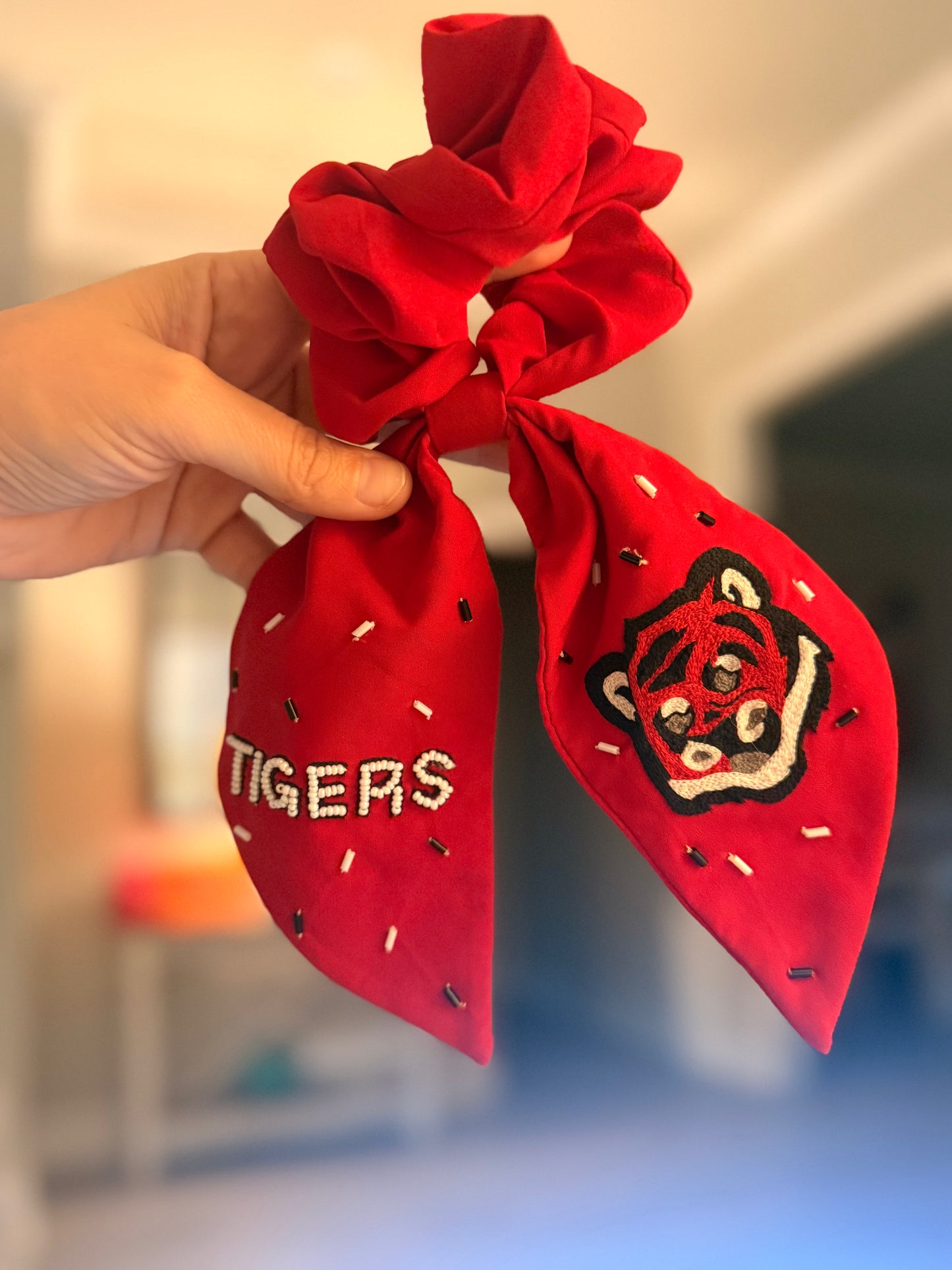 Donaldsonville Tigers Accessories