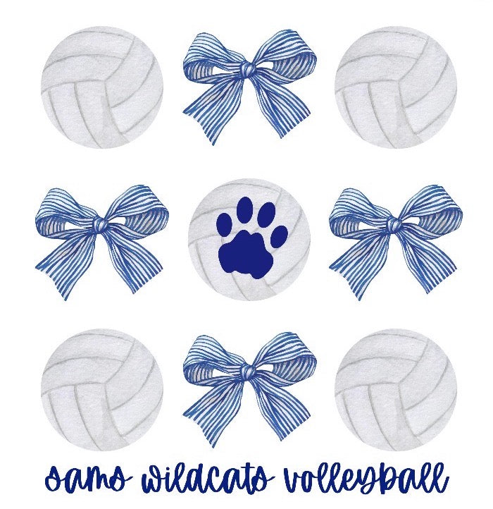 SAMS Volleyball