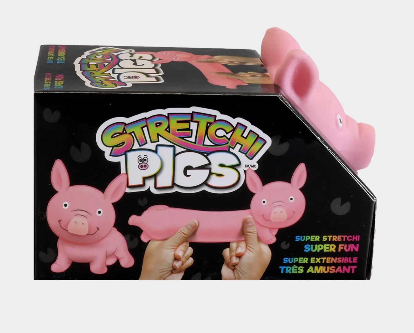 Squishy, Stretchy Pig