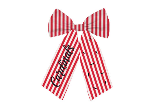 Prairieville Primary Bow #2
